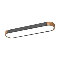 Dimmable Minimalist Long Oval Flush Mount LED Light