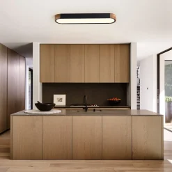 Dimmable Minimalist Long Oval Flush Mount LED Light