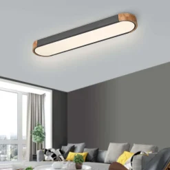 Dimmable Minimalist Long Oval Flush Mount LED Light