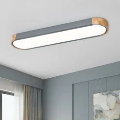Dimmable Minimalist Long Oval Flush Mount LED Light