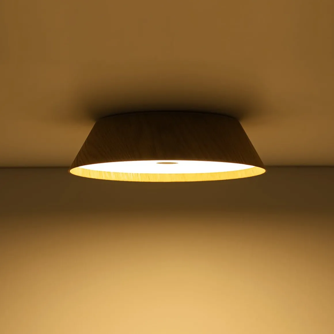 Farmhouse Wood Grain Dimmable LED Round Flush Mount Light