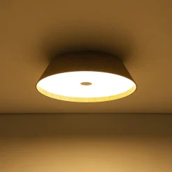 Farmhouse Wood Grain Dimmable LED Round Flush Mount Light