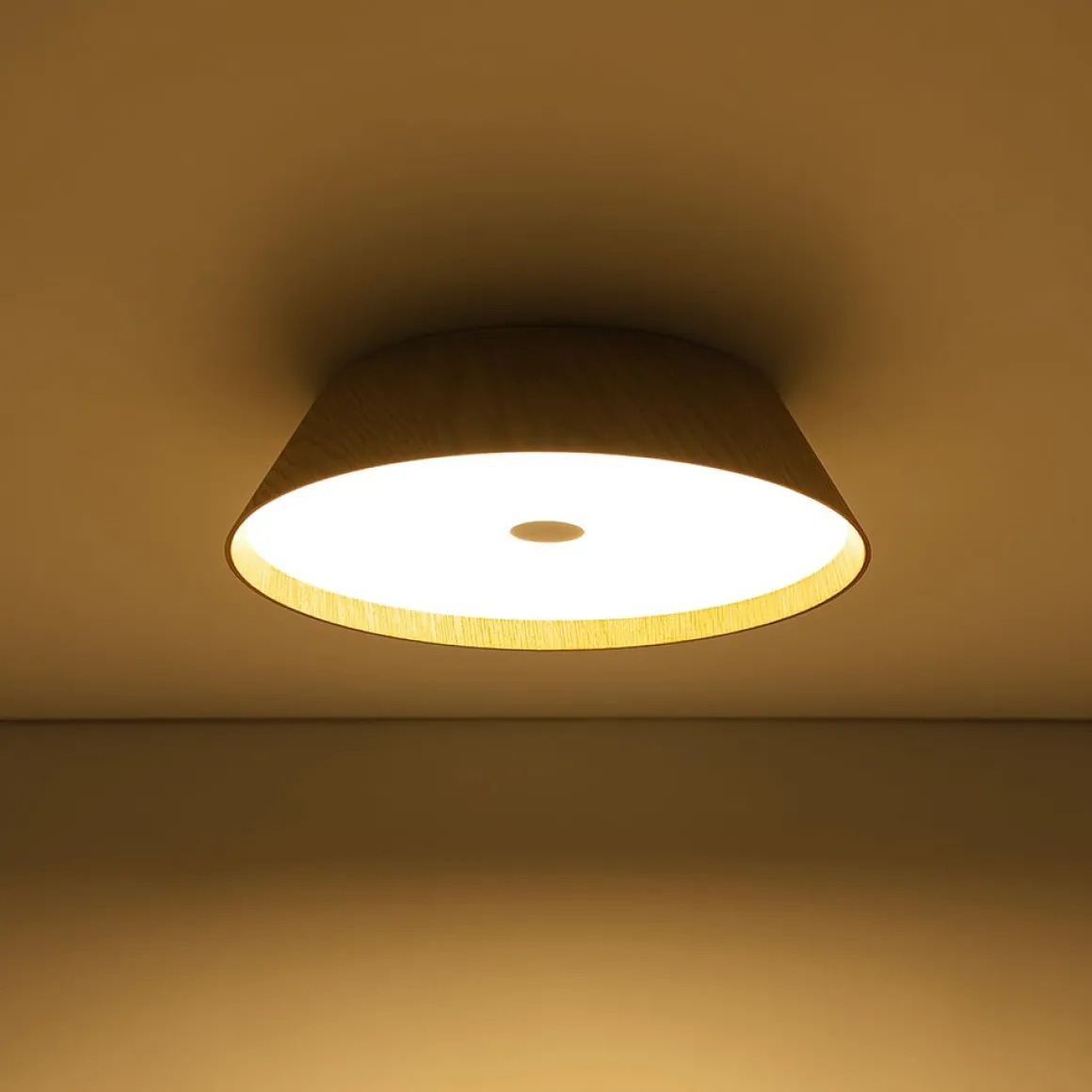 Farmhouse Wood Grain Dimmable LED Round Flush Mount Light