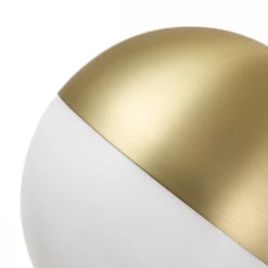 Goose Arm Globe Wall Sconce
