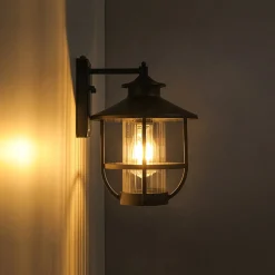 IP23 Black 1-Light Manor Wire Cage Outdoor Wall Sconce