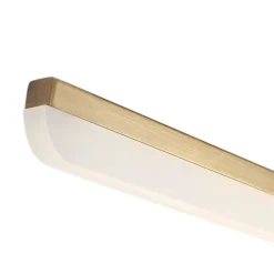 1-Light Brass Linear LED Vanity Light Picture Sconce