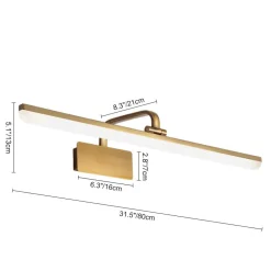 1-Light Brass Linear LED Vanity Light Picture Sconce