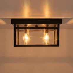 4-Light Clear Glass Black Square Cage Flush Mount Ceiling Light