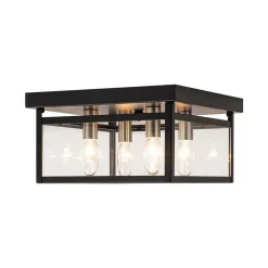 4-Light Clear Glass Black Square Cage Flush Mount Ceiling Light