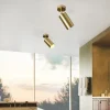 Mid-century 1-light Ceiling Spotlight