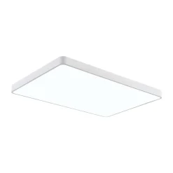 Minimalist Dimmable LED Rectangle Flush Mount Ceiling Light