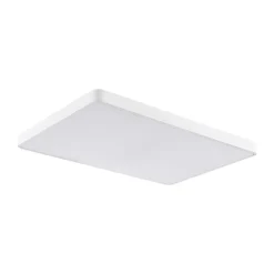 Minimalist Dimmable LED Rectangle Flush Mount Ceiling Light