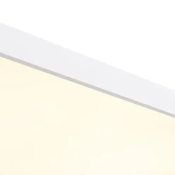 Minimalist Dimmable LED Rectangle Flush Mount Ceiling Light