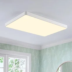 Minimalist Dimmable LED Rectangle Flush Mount Ceiling Light