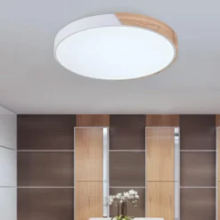 Minimalist LED Flush Mount Drum Light
