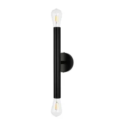 Minimalist 2-Light Linear Tube Vanity Wall Sconce