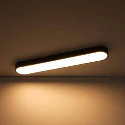Minimalist Long Oval Dimmable LED Flush Mount Ceiling Light