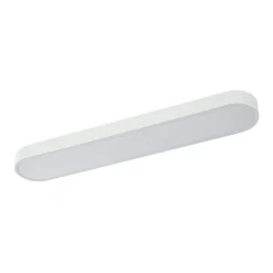Minimalist Long Oval Dimmable LED Flush Mount Ceiling Light