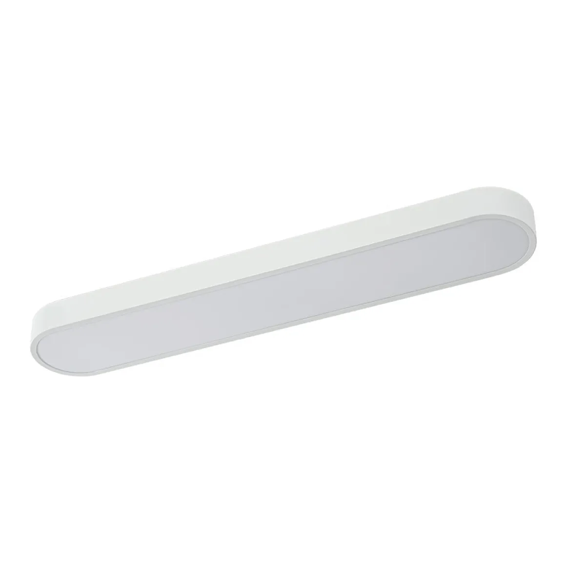 Minimalist Long Oval Dimmable LED Flush Mount Ceiling Light