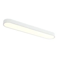 Minimalist Long Oval Dimmable LED Flush Mount Ceiling Light