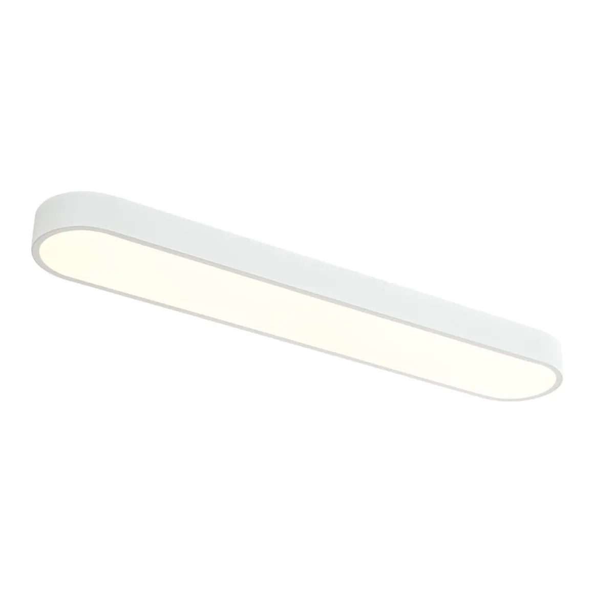 Minimalist Long Oval Dimmable LED Flush Mount Ceiling Light