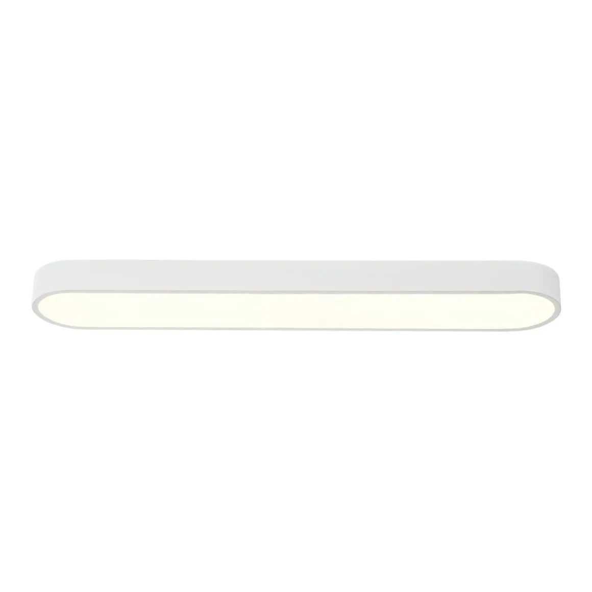 Minimalist Long Oval Dimmable LED Flush Mount Ceiling Light
