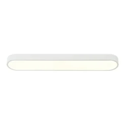 Minimalist Long Oval Dimmable LED Flush Mount Ceiling Light