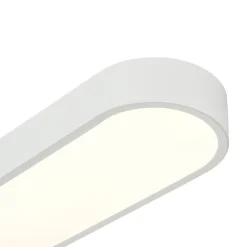Minimalist Long Oval Dimmable LED Flush Mount Ceiling Light