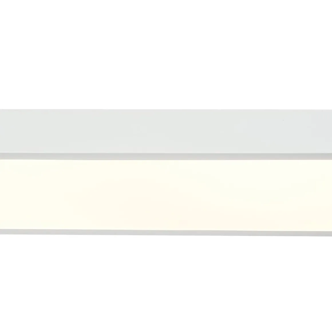 Minimalist Long Oval Dimmable LED Flush Mount Ceiling Light
