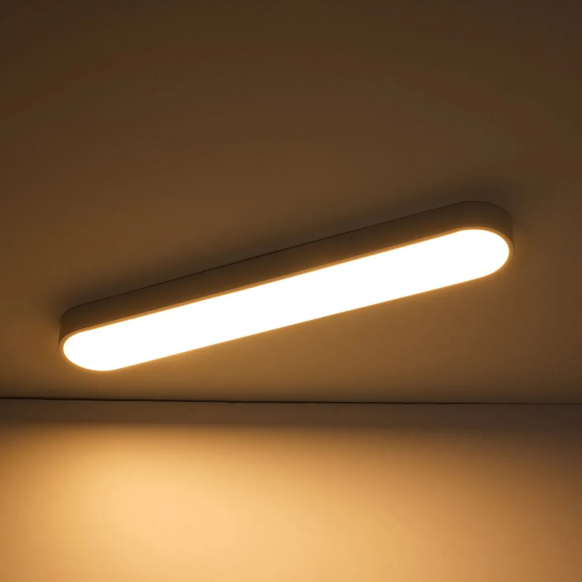 Minimalist Long Oval Dimmable LED Flush Mount Ceiling Light