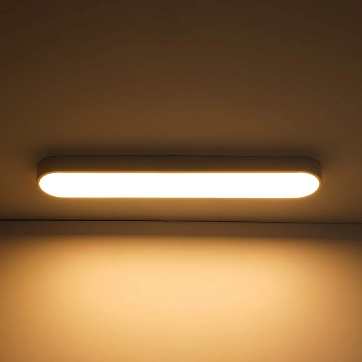 Minimalist Long Oval Dimmable LED Flush Mount Ceiling Light