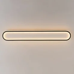 Minimalist Streamlined Oval Warm LED Ceiling Light