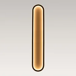 Minimalist Streamlined Oval Warm LED Ceiling Light