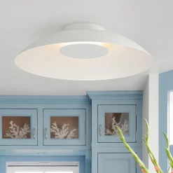 Minimalist Wide Flat Dome Dimmable LED Ceiling Light