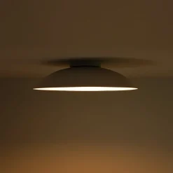 Minimalist Wide Flat Dome Dimmable LED Ceiling Light