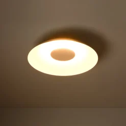 Minimalist Wide Flat Dome Dimmable LED Ceiling Light