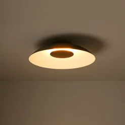 Minimalist Wide Flat Dome Dimmable LED Ceiling Light