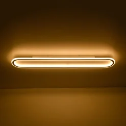 Minimalist Wood Grain Dimmable LED Oval Ring Ceiling Light