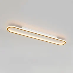 Minimalist Wood Grain Dimmable LED Oval Ring Ceiling Light
