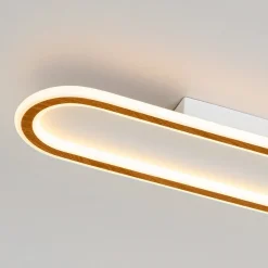 Minimalist Wood Grain Dimmable LED Oval Ring Ceiling Light