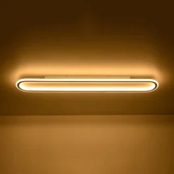 Minimalist Wood Grain Dimmable LED Oval Ring Ceiling Light