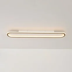 Minimalist Wood Grain Dimmable LED Oval Ring Ceiling Light
