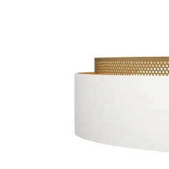Modern LED Iron Mesh Circular Flush Mount Light