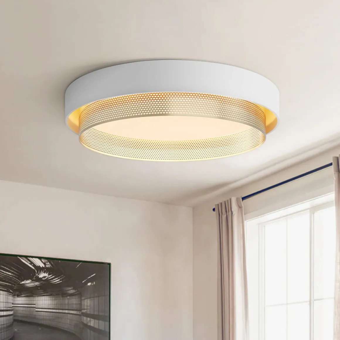 Modern LED Iron Mesh Circular Flush Mount Light