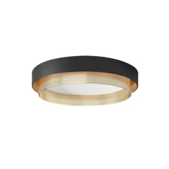 Modern LED Iron Mesh Circular Flush Mount Light