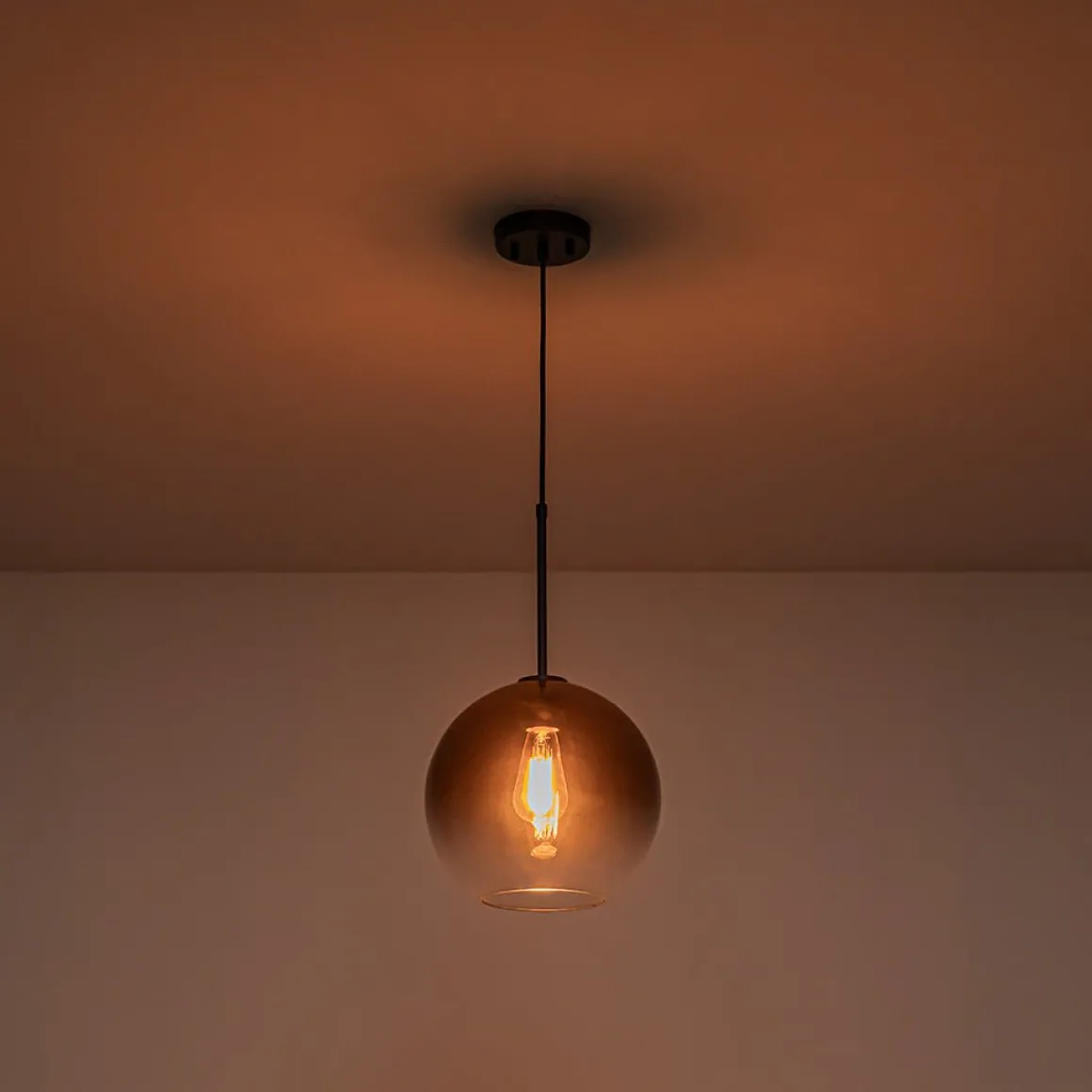 Modern Minimalist 1-light Smoked Grey Tinted Glass Globe Pendant