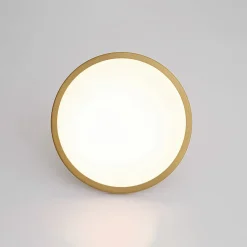 Modern Simple Brass Round Dimmable LED Semi Flush Mount