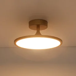 Modern Simple Brass Round Dimmable LED Semi Flush Mount