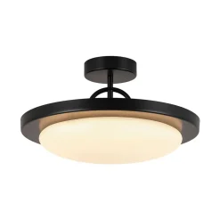 Nordic Black White Dimmable LED Round Semi Flush Mount