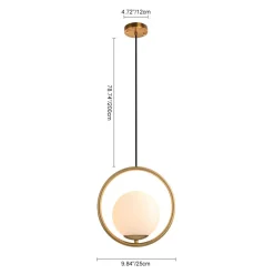 (OpenBox) Modern 1-ring Globe Pendant Light